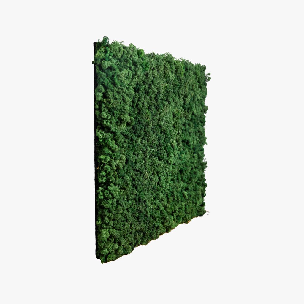 Bilde 1 av 3 i Mose Panel galleri