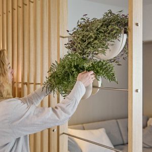 WoodUpp romdeler i lyst tre med vertikale lameller og horisontale metallstenger; to runde, hvite, skålformede keramiske hengende potter fra WoodUpp fylt med frodige grønne planter, mens en kvinne i bildet justerer en av plantene. Myk stuebakgrunn med sofa synlig bak.