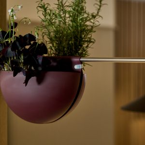WoodUpp hengende halvkuleformet plantepotte i burgunderrød, festet på en børstet stålstang med en liten metallklips med diskret WoodUpp-logo. Potten inneholder mørke blad fra en oksalis-lignende plante og grønt, urteaktig bladverk. Nærbilde viser potteform, feste og matt overflate. Stilig interiørdetalj i varme farger.