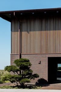 Moderne husfasade med WoodUpp vertikale trelameller som øvre kledning, mørk teglmur i underetasjen, kobberfarget takrenne og nedløp. Foran står en formklipt furubusk og skyggespill på muren under klar blå himmel. Bildet viser WoodUpp fasadeløsning i detalj. Lamellene er jevnt plassert i naturlig varm farge som gir elegante skygger.